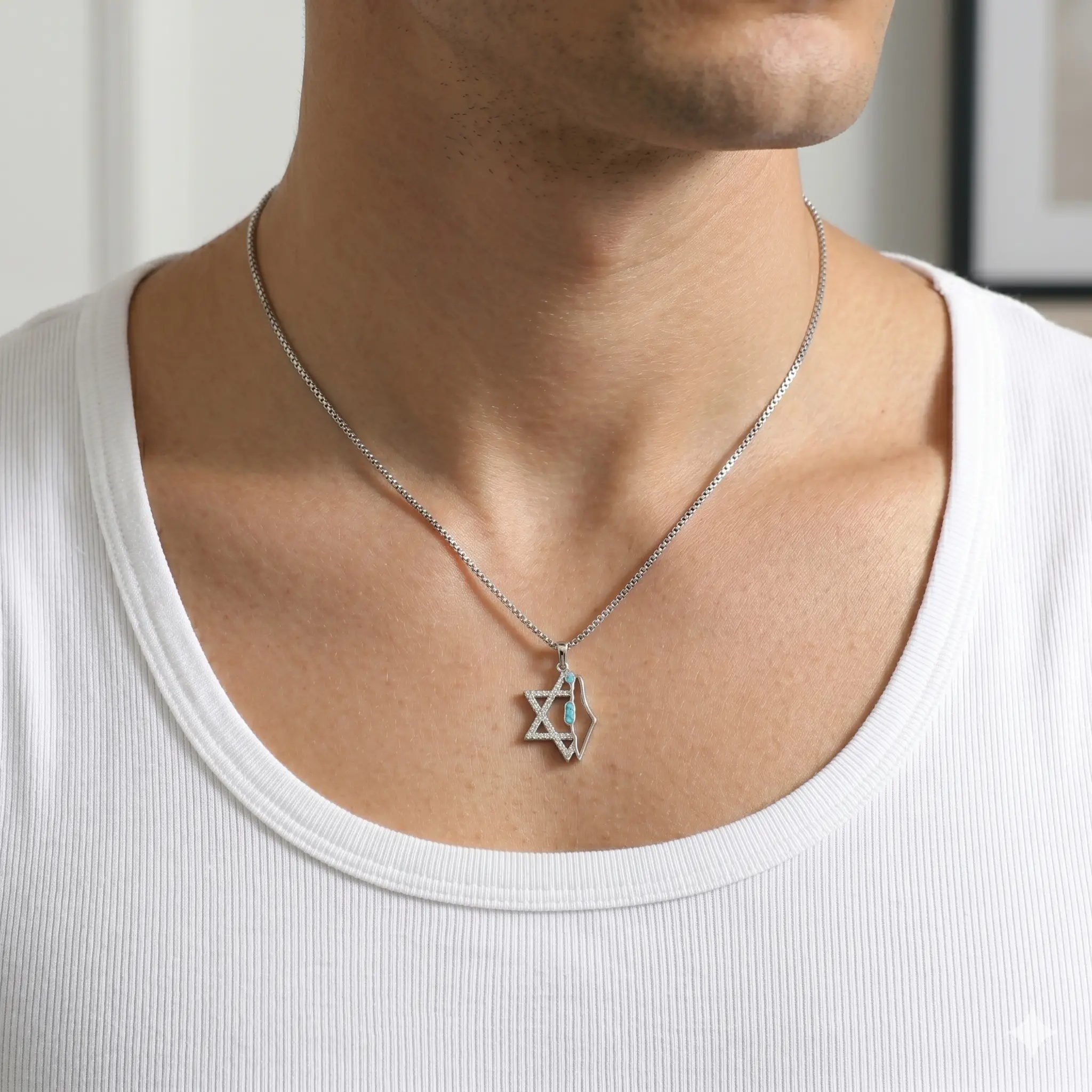 מפת ארץ ישראל ומגן דוד